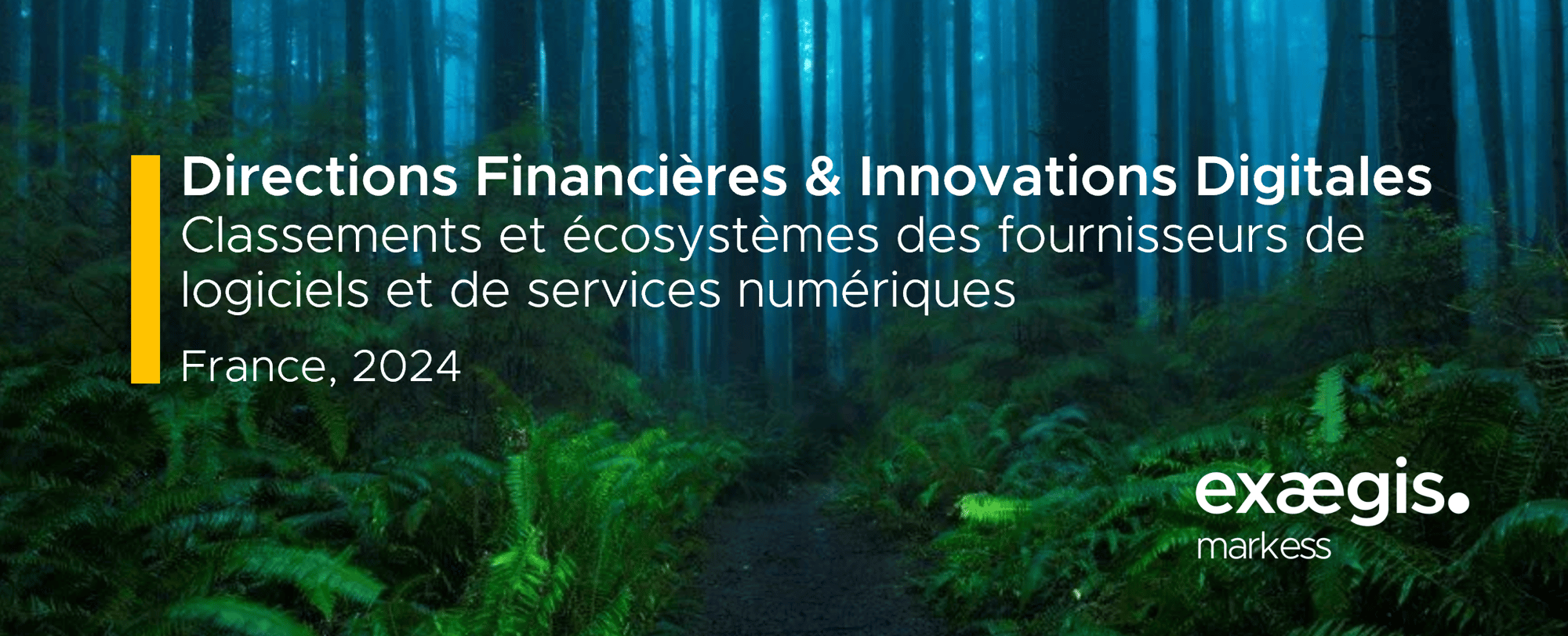 Directions Financières & Innovations Digitales - Classements et écosystèmes des fournisseurs